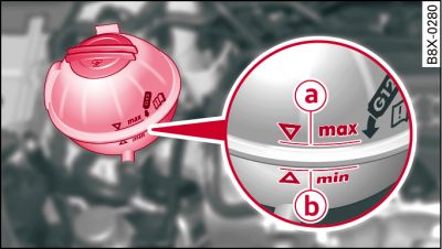 Engine compartment: Markings on coolant expansion tank