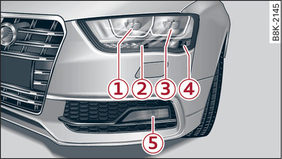 Halogen headlights: Overview of left side of vehicle