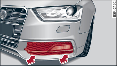 Trim cover for front fog light