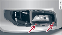 Screws securing front fog light