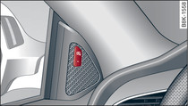 Porta del conducente: tasto del side assist