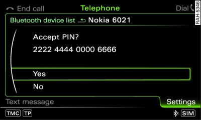 PIN display for entry on mobile phone