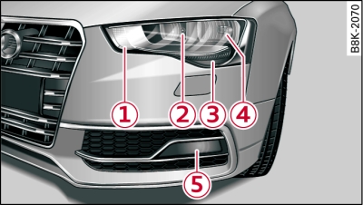 Halogen headlights: Overview of left side of vehicle