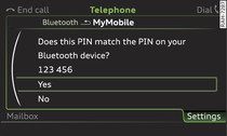 PIN display for entry on mobile phone